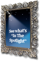 In The Spotlight