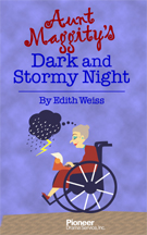 Cover for Aunt Maggity's Dark<br>and Stormy Night